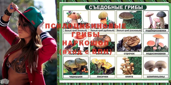 дживик Аркадак