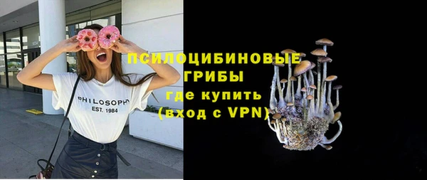 прущая мука Арсеньев