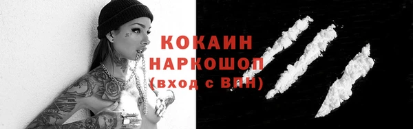 дживик Аркадак