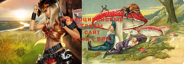 прущая мука Арсеньев