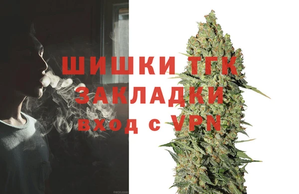 дживик Аркадак
