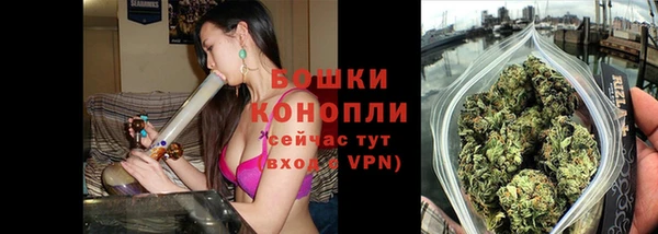 дживик Аркадак