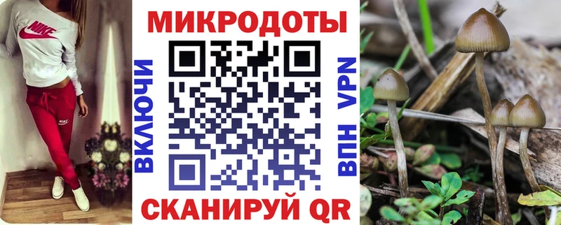 Псилоцибиновые грибы Psilocybe где купить наркотик Торопец